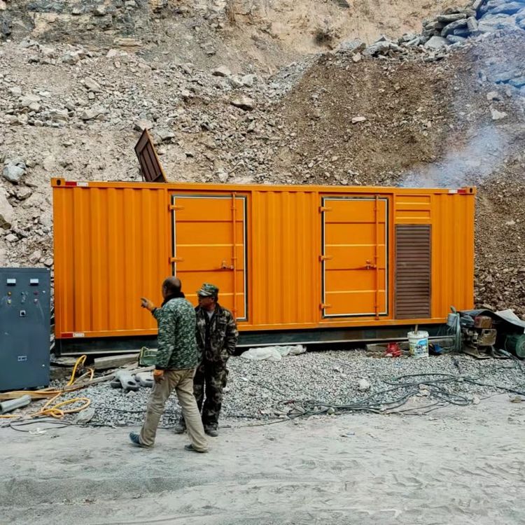 阳新如何选择适合自己的 800KW 柴油发电机组?